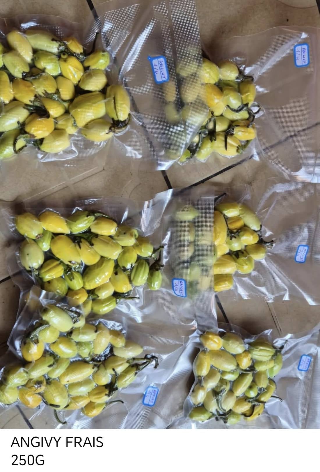 ANGIVY Madagassische oder Bittere Aubergine
