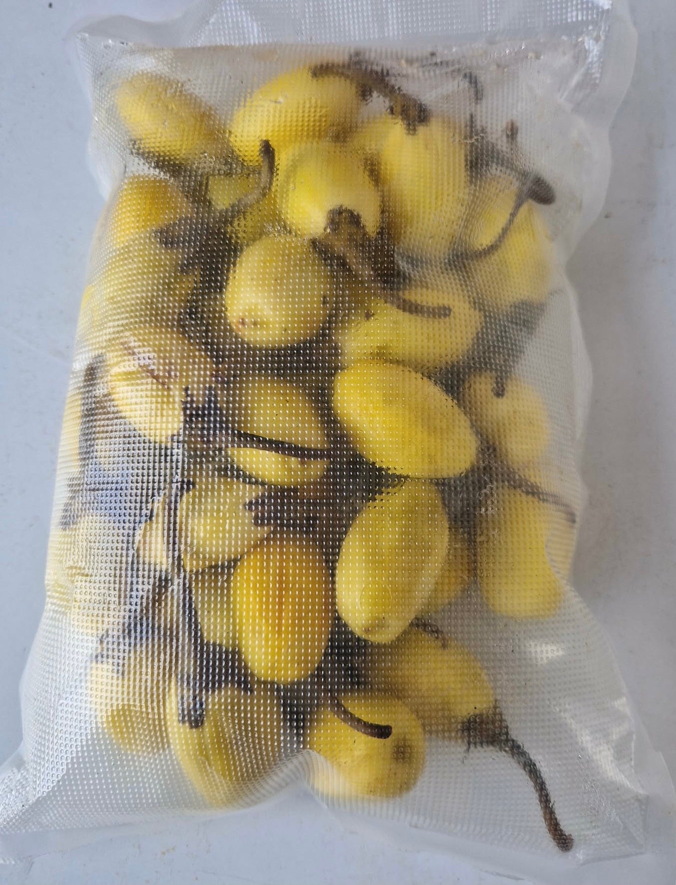 Angivy malgache oder gelbe Bitter-Auberginen
