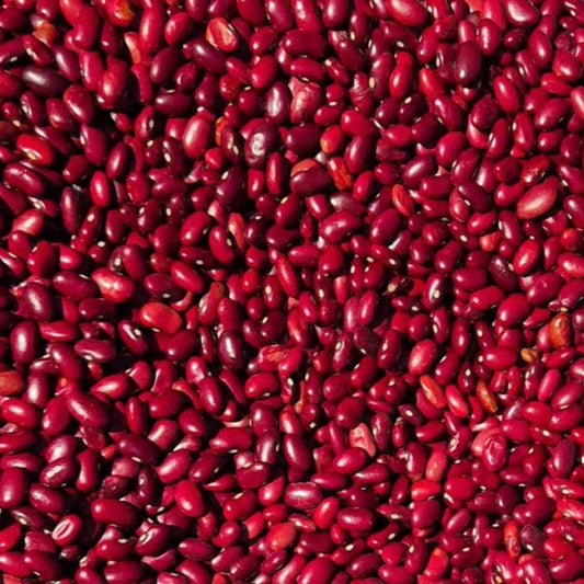 Haricots Yeux Noirs Secs "Tsara Maso"