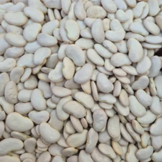 Pois du cap "Kabaro maina "