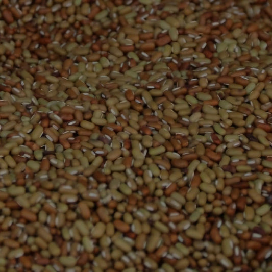 Pois rond sec de Madagascar "Tsiasisa"