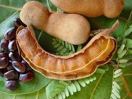 Voamadilo oder Tamarinde