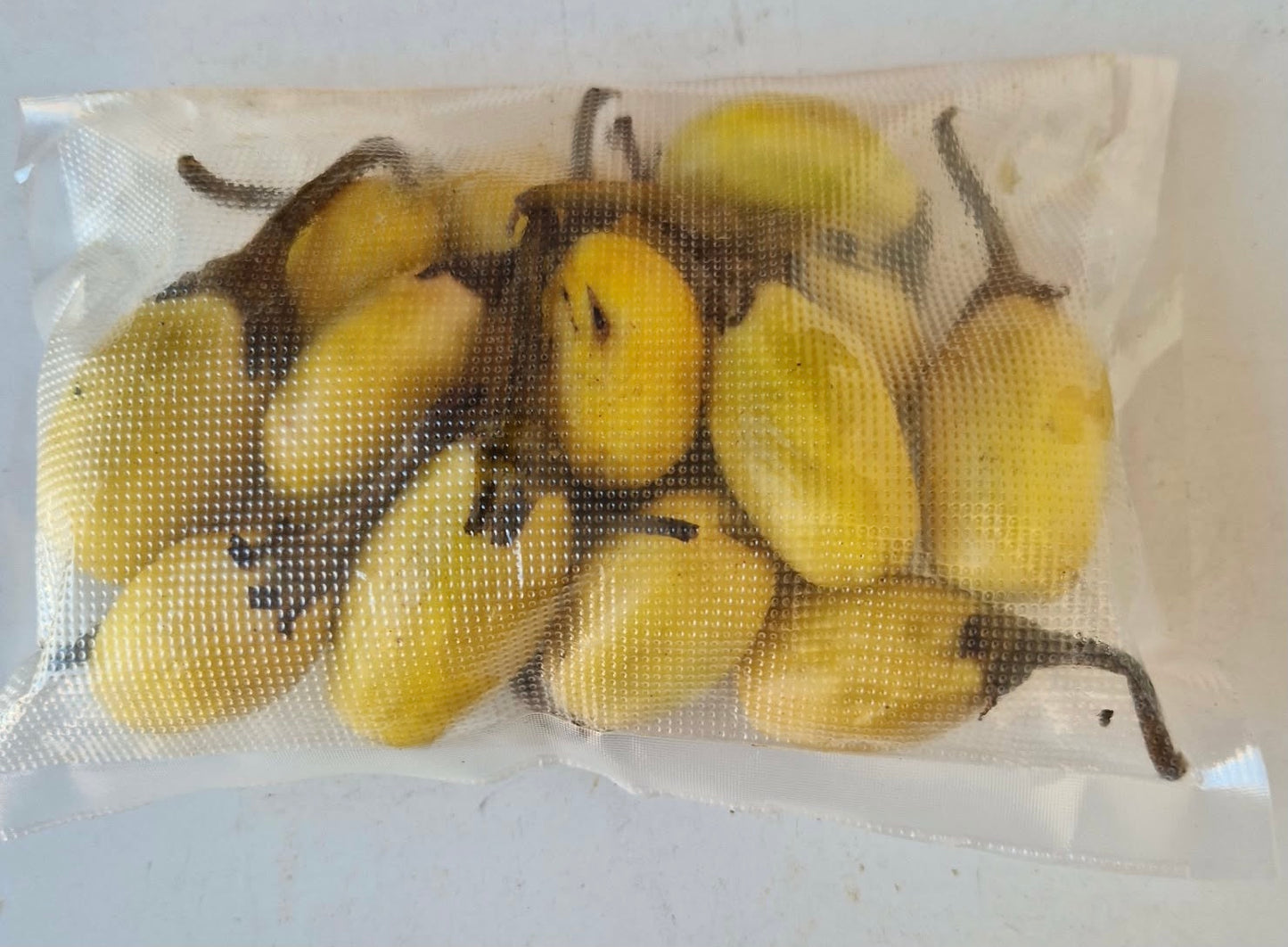 Angivy malgache oder gelbe Bitter-Auberginen