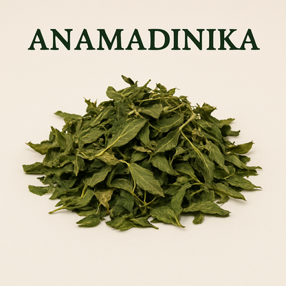 Anamandinika maina - Petites Brèdes sauvages Séchées de Madagascar