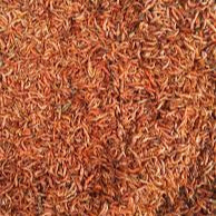 Petit crevette séche rouge "Patsa mena"