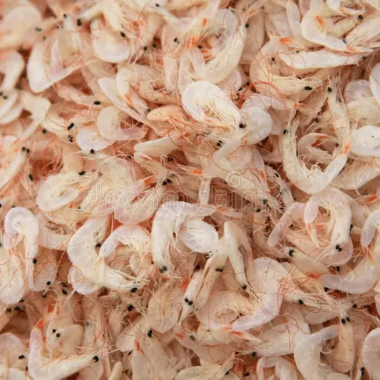 Petites crevettes séchées blanches "Patsa Fotsy"